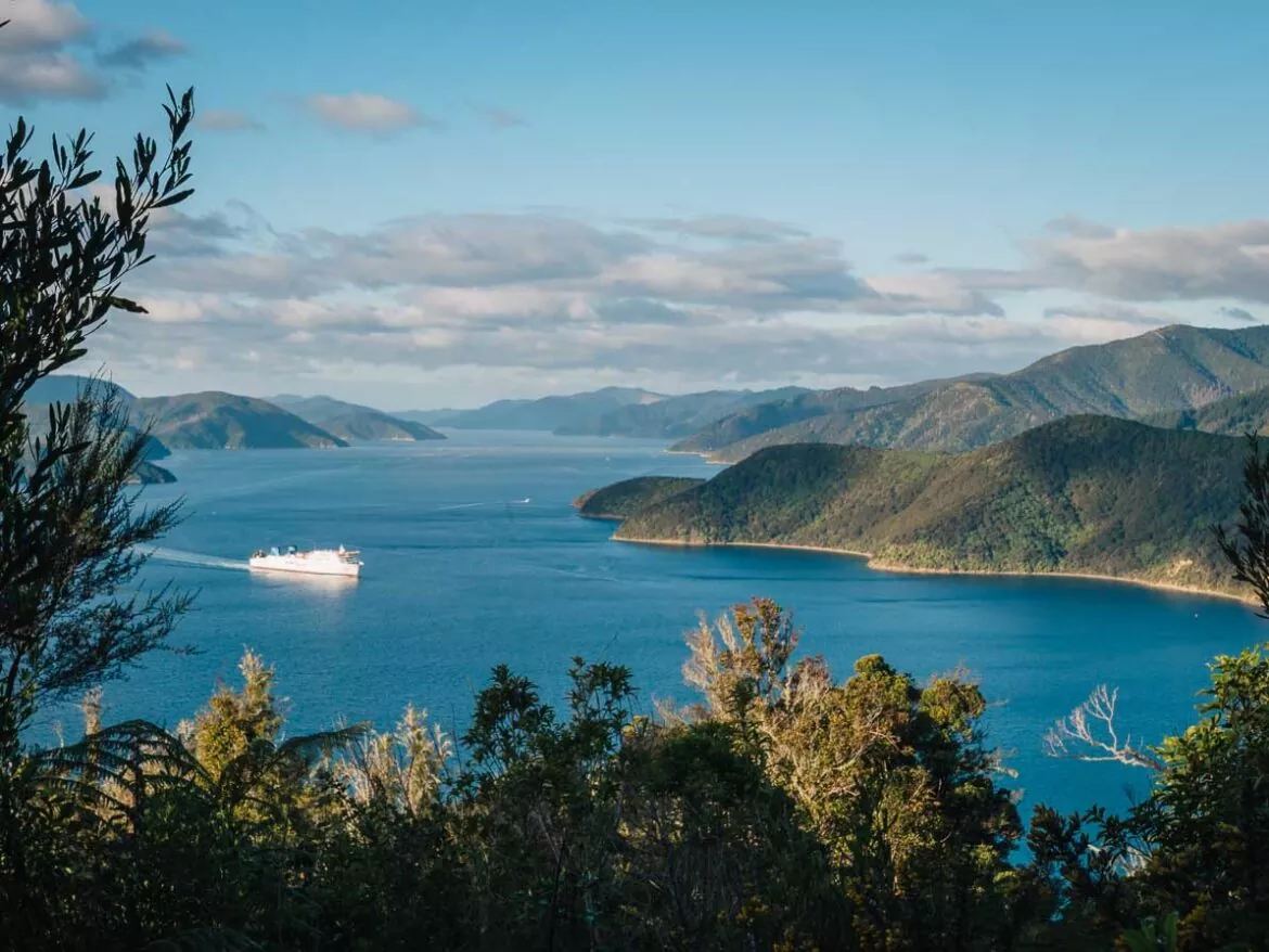 12 Epic Things To Do In Marlborough | Finding Alexx Travel Blog