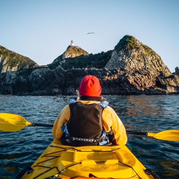 the catlins nugget point kayaking