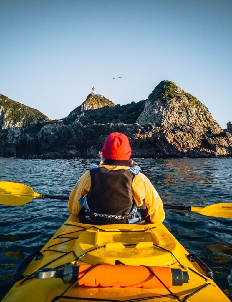 the catlins nugget point kayaking