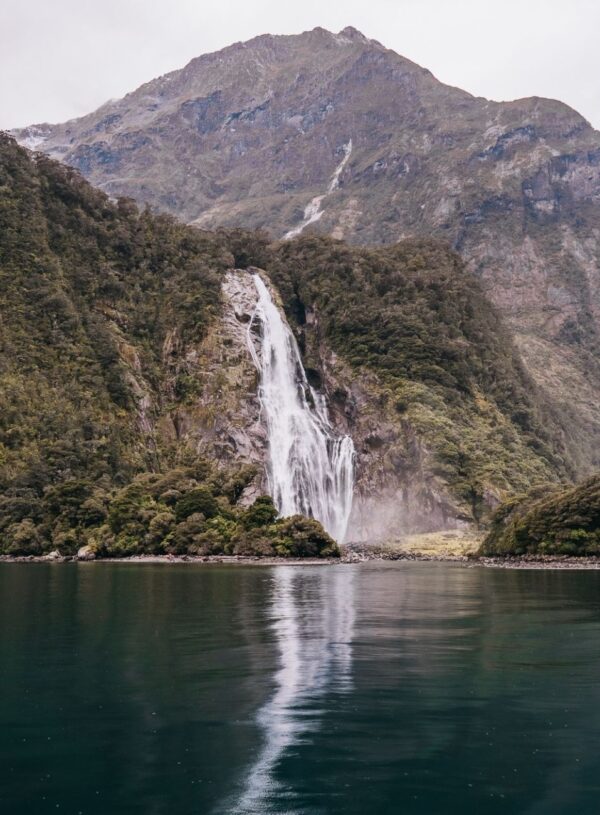 Milford Sound vs Doubtful Sound: Which one should you visit?