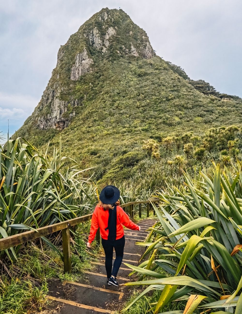 taranaki paritutu rock