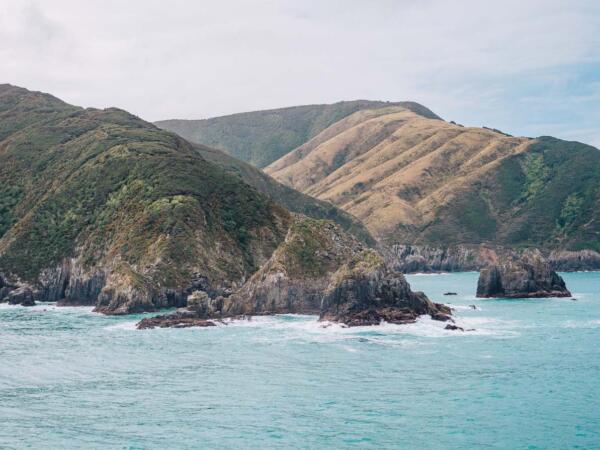 Bluebridge Ferry Review: All You Need to Know About the Cook Strait Trip