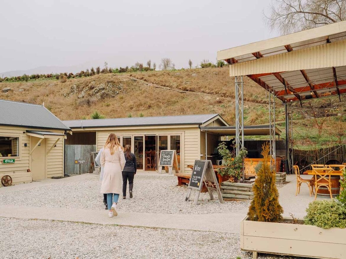 The Best Queenstown Wine Tour Wine Sampler with Altitude