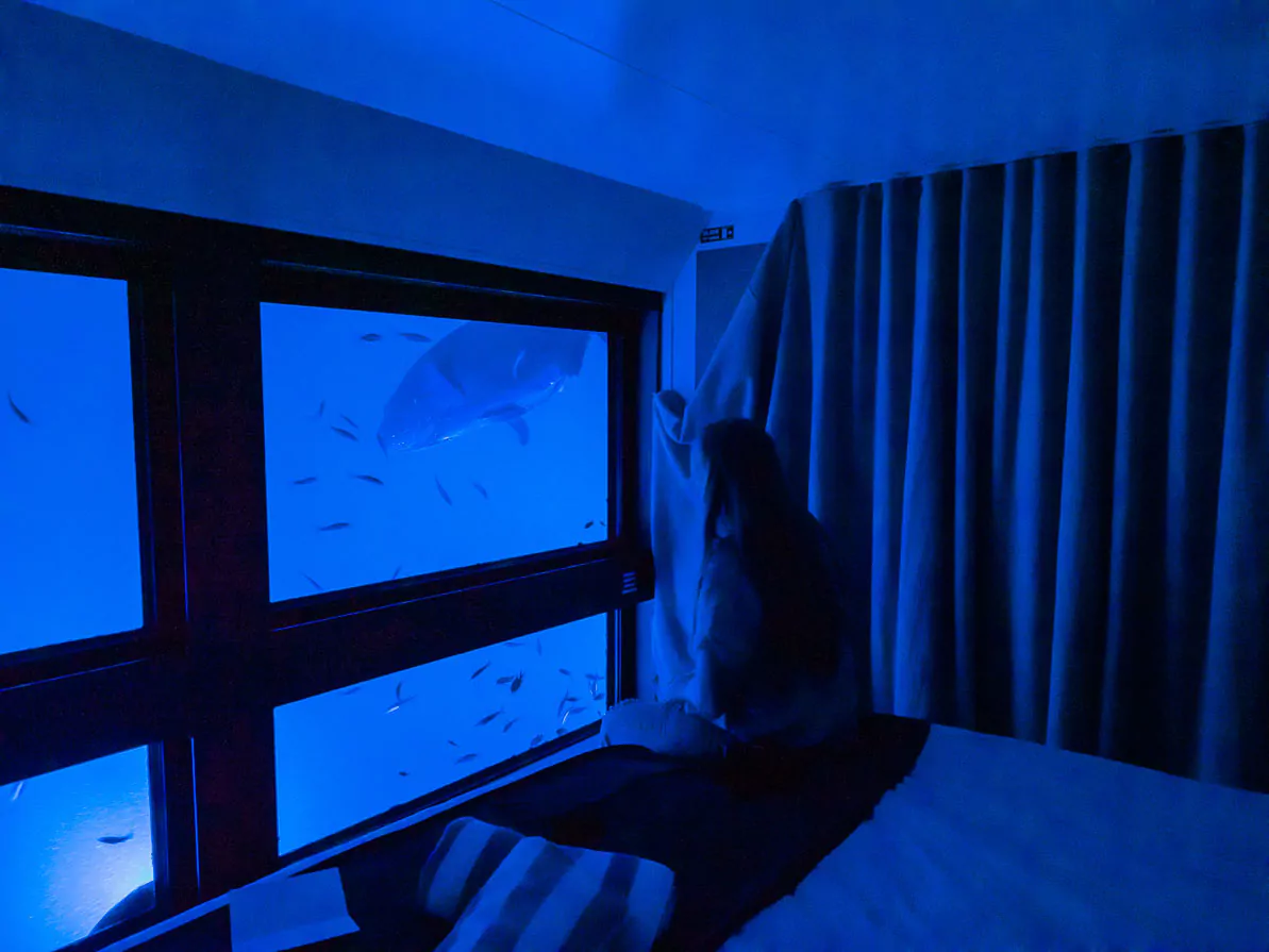 Great Barrier Reef underwater hotel Reefsleep & Reefsuites review
