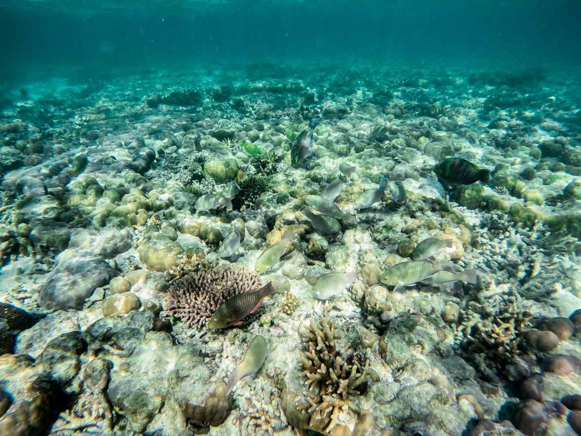 Great Barrier Reef underwater hotel Reefsleep & Reefsuites review