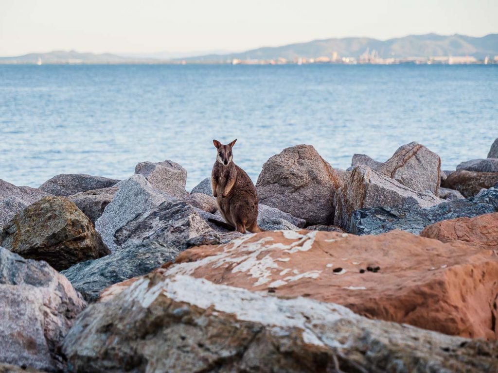 travelling australia blog