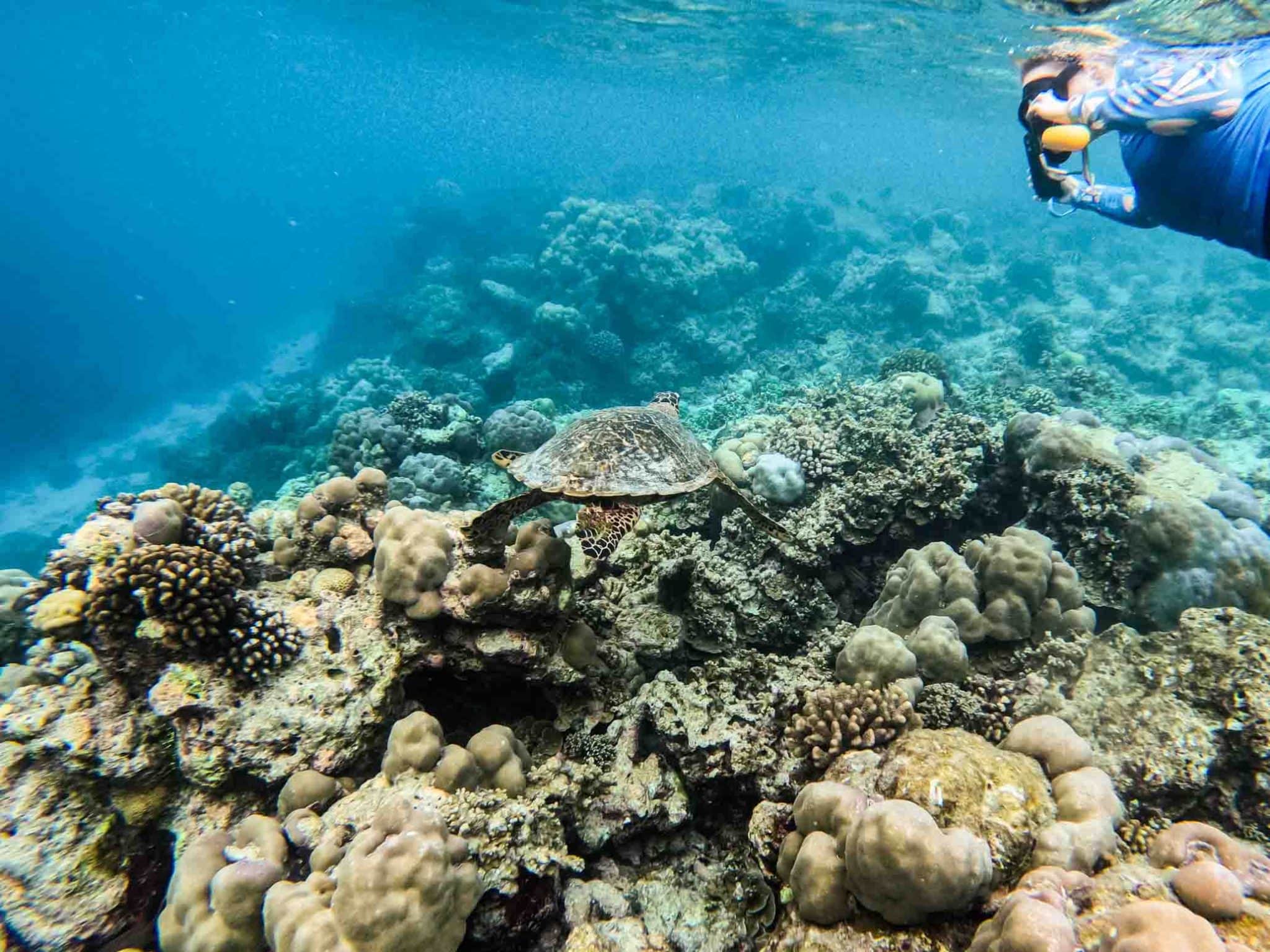 The ultimate Maldives solo travel guide Finding Alexx travel blog