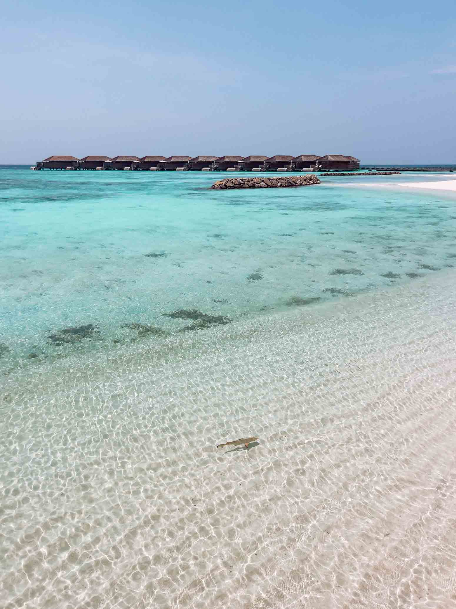 The ultimate Maldives solo travel guide Finding Alexx travel blog