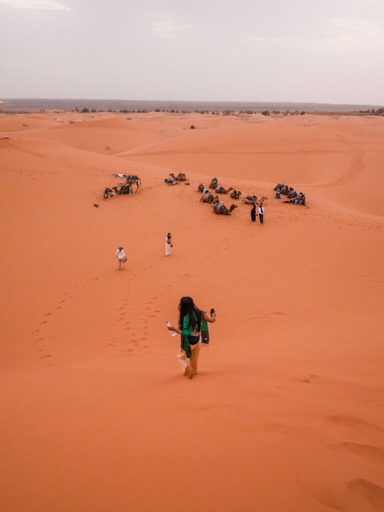 A traveller makes their way across the vast, sandy expanse of the Sahara Desert towards a group of resting camels, part of the unique G Adventures Morocco experience
