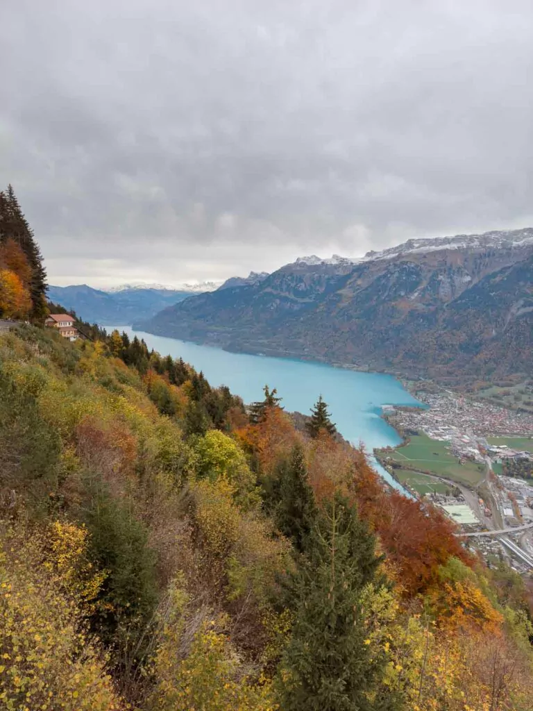 A captivating autumnal view from Harder Kulm, showing Interlaken and the turquoise waters of one of its surrounding lakes, framed by golden foliage