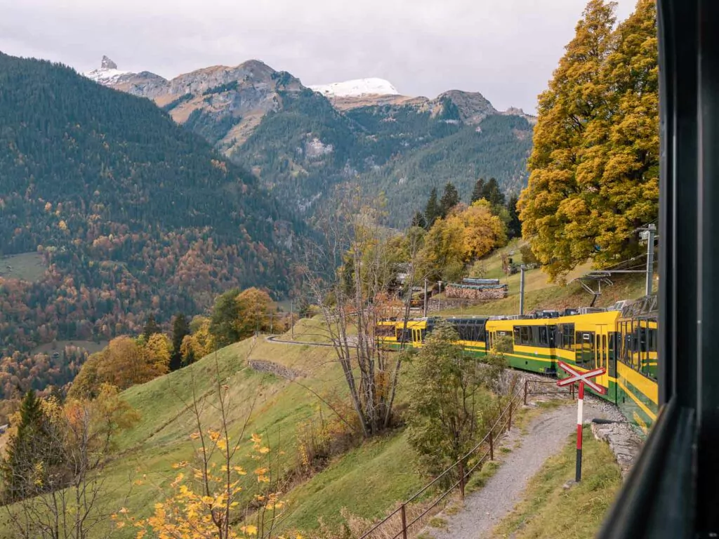 View from a train window showing a yellow train traveling through the autumnal landscape near Wengen with the Swiss Alps in the distance