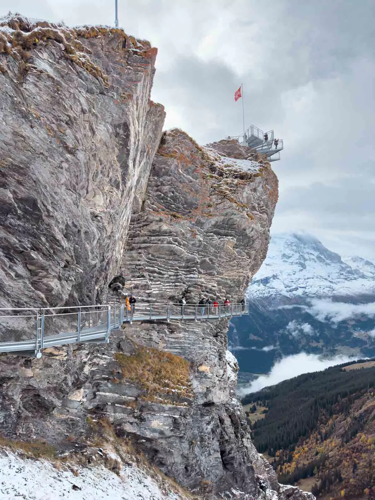 Swiss Travel Pass vs Half Fare Card Which one is best for you?