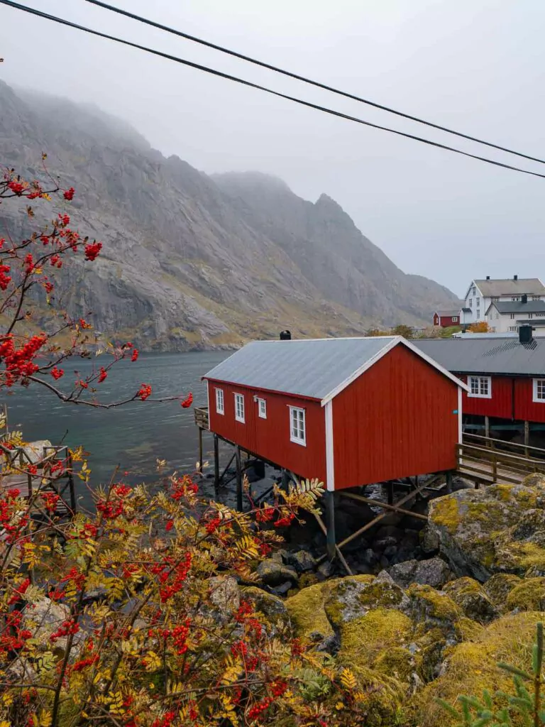 A traditional red Norwegian rorbu stands on stilts by the waters of Nusfjord in the Lofoten Islands, amidst vivid autumnal foliage and a misty mountain backdrop
