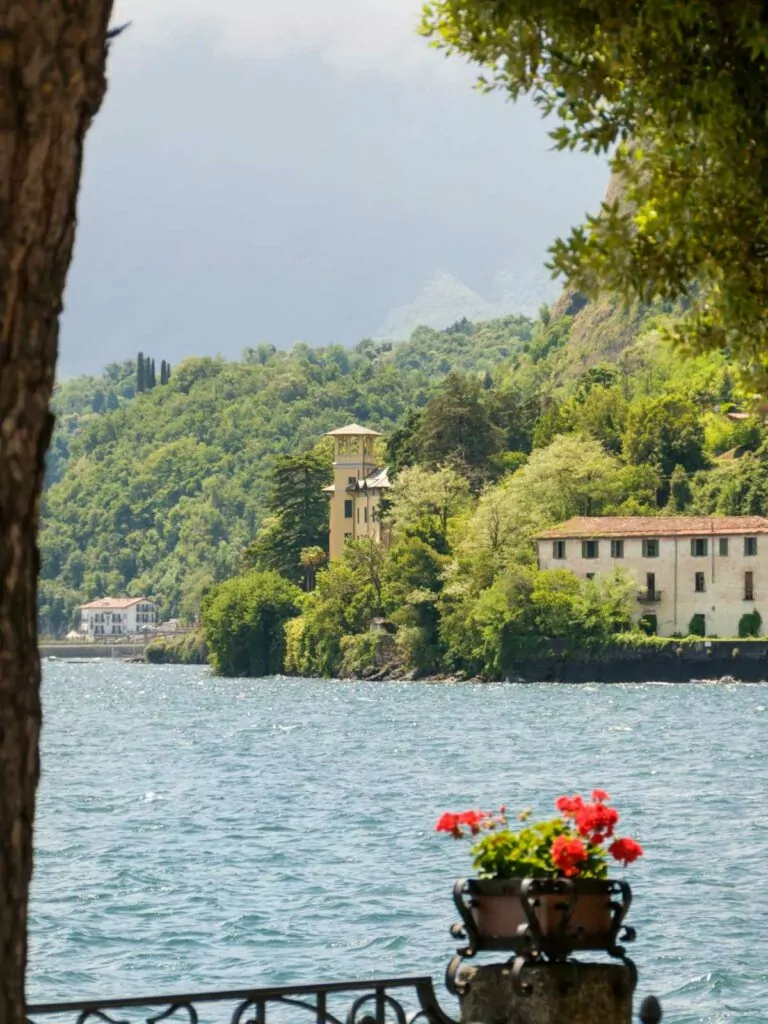 A charming view of Lake Como, Italy, featuring a vase of bright red flowers in the foreground, with historic buildings and lush hills in the distance