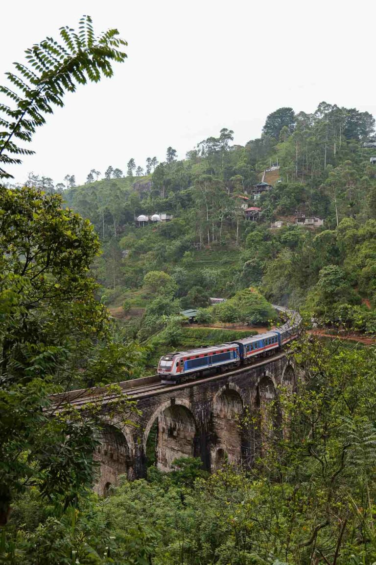 One Life Adventures Sri Lanka: An honest tour review