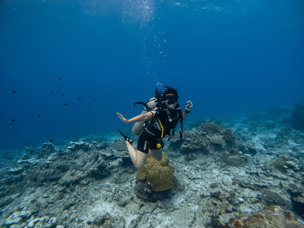 Seaventures Dive Rig in Borneo: Honest review (2024)