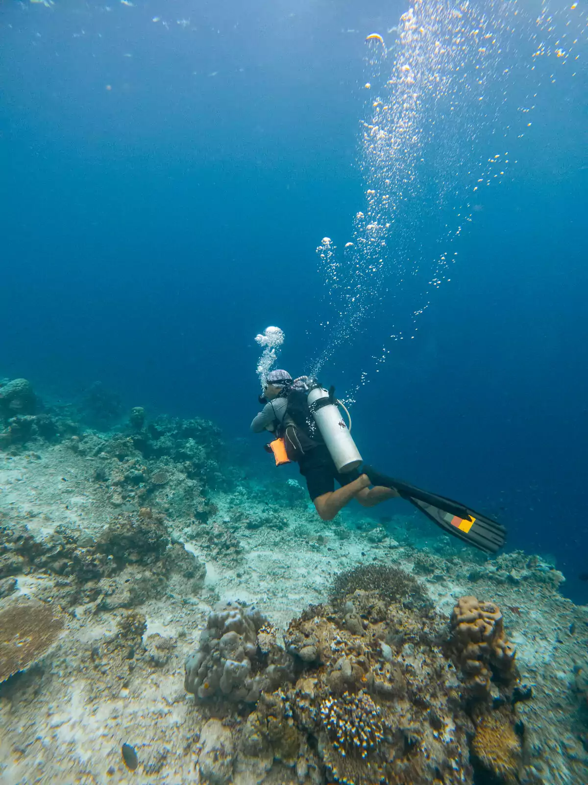 A scuba diver navigating a coral reef, surrounded by colorful marine life, a must-do activity on a Sabah itinerary