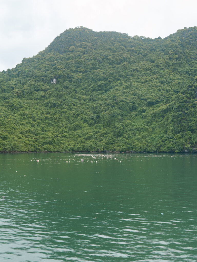 The green hills of Lan Ha Bay as seen from the calm waters, with floating rubbish in the bay