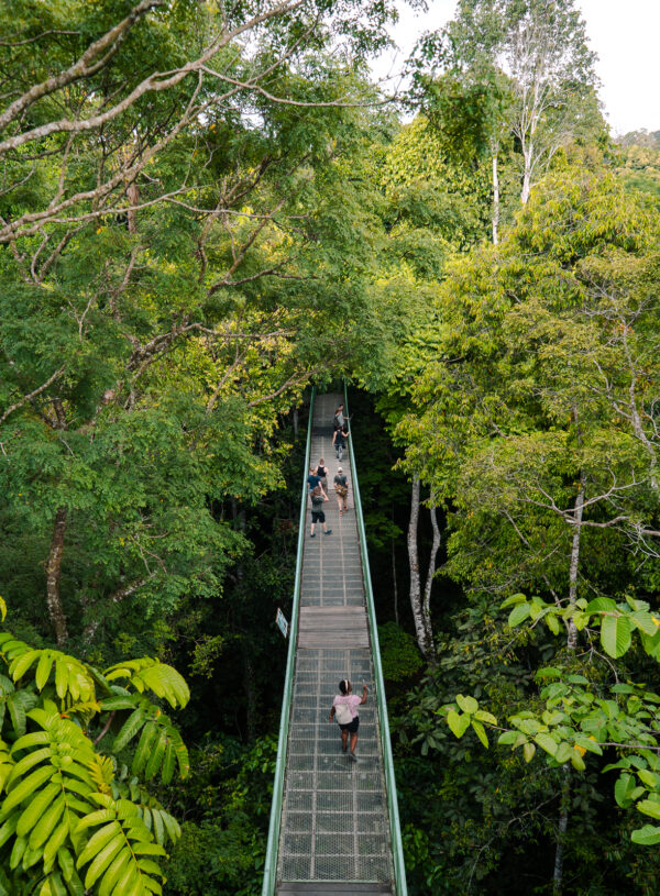 G Adventures Borneo tour review: East Sabah Adventure