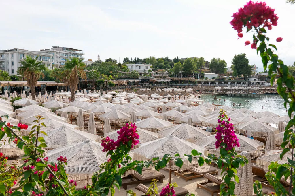 Pink bougainvillea frames view of Ksamil beach club with beach chairs on the sand