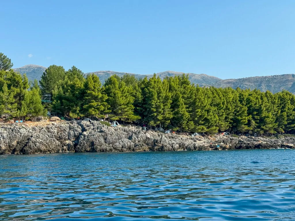 Pine trees and rocky outcrops line the turquoise waters of an Albanian beach cove