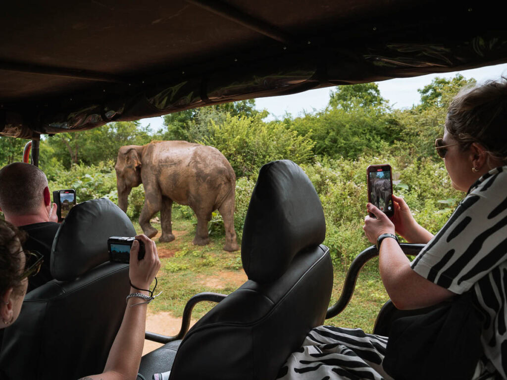 Safari tourists in an open vehicle taking photos of an elephant with their smartphones in Sri Lanka