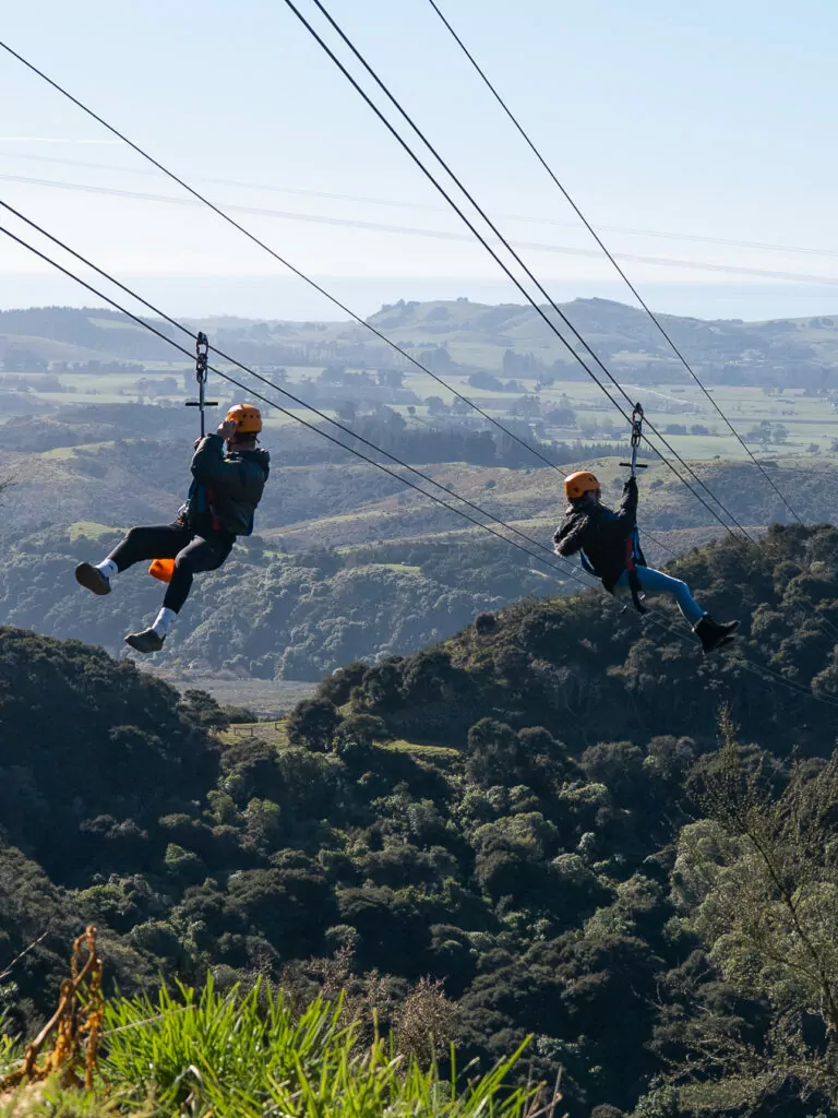 Ultimate Kaikōura guide: Best things to do in Kaikōura