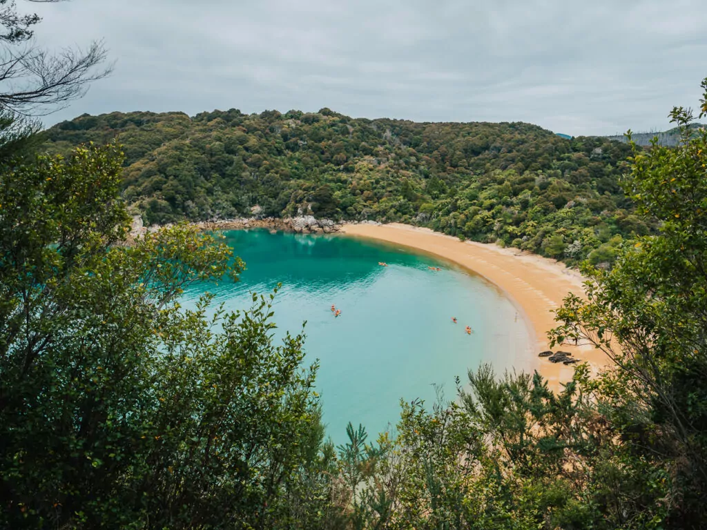 An elevated view of a golden sand beach and turquoise cove surrounded by native bush in Abel Tasman National Park