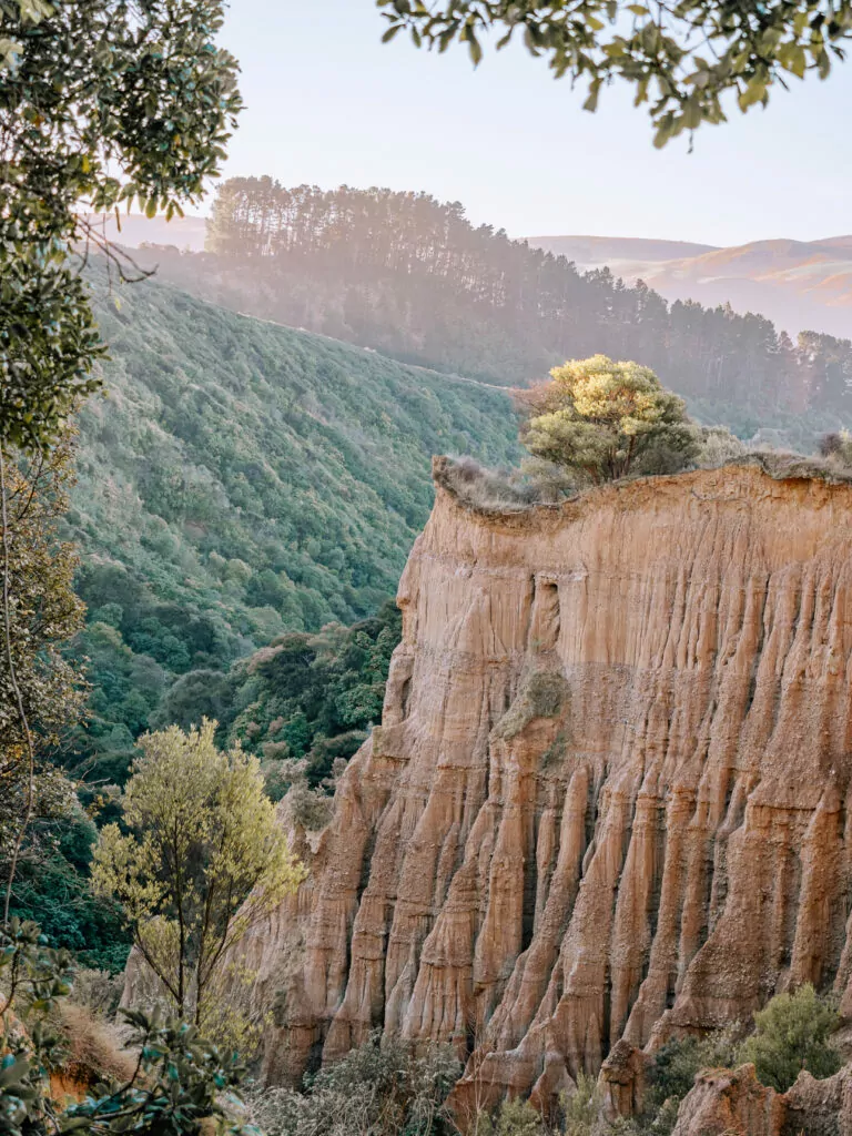 The dramatic eroded clay pinnacles and columns of Cathedral Cliffs with native vegetation and forested hills in the background