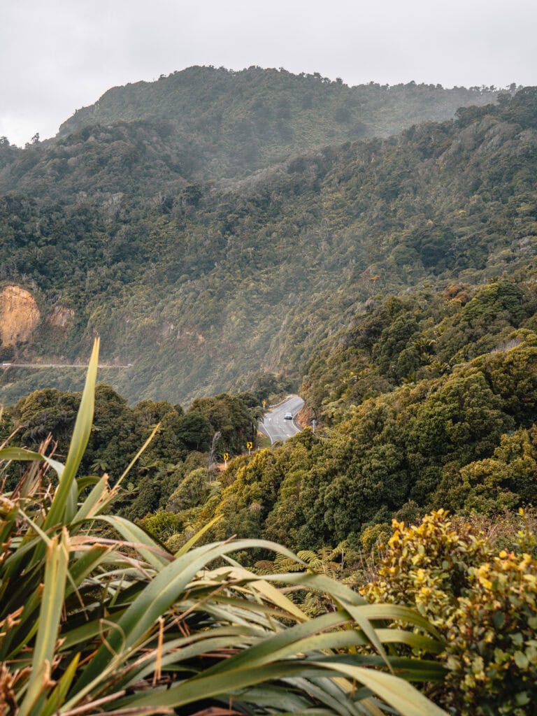 A winding coastal highway cutting through native rainforest-covered hills near Punakaiki on the West Coast