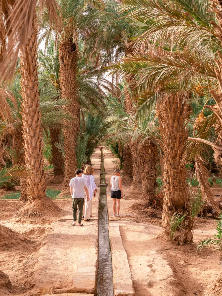 Tour group walking through a palm-lined oasis in Morocco on a G Adventures small group tour