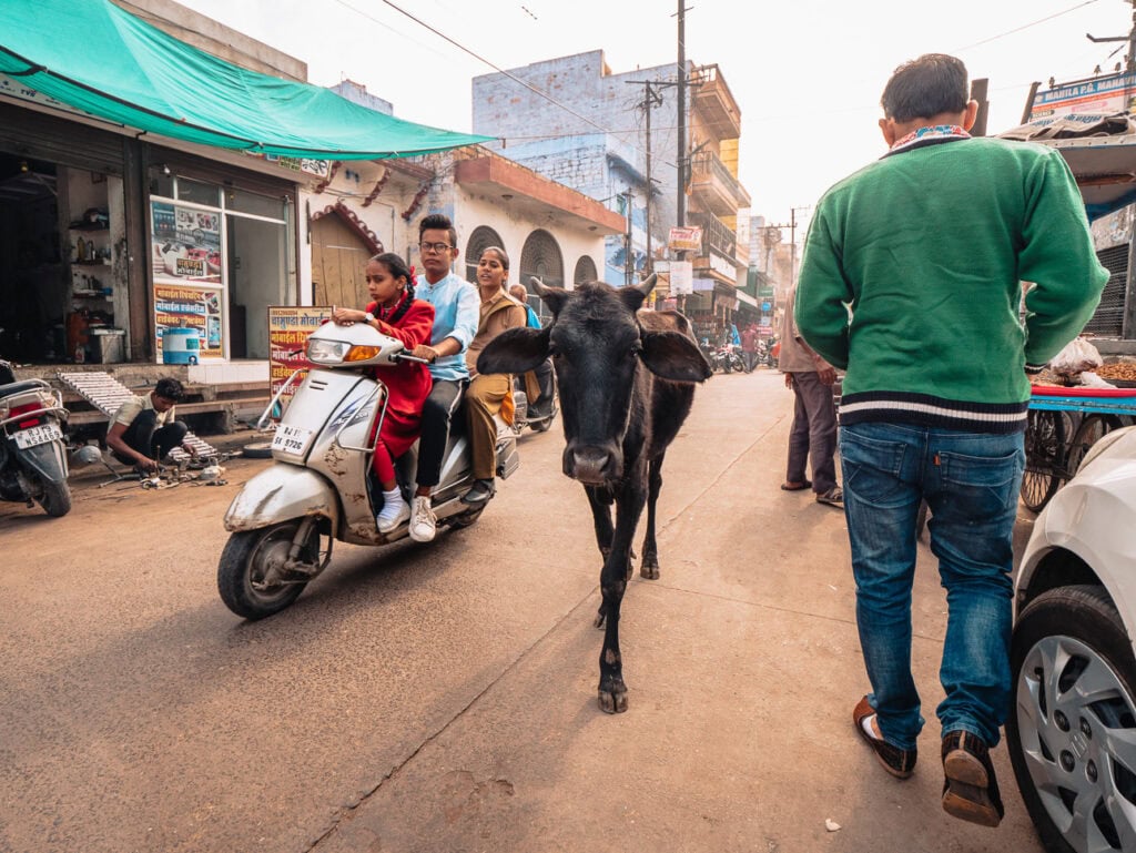 Peaceful lakeside view in Pushkar with historic buildings reflecting in the water at sunset