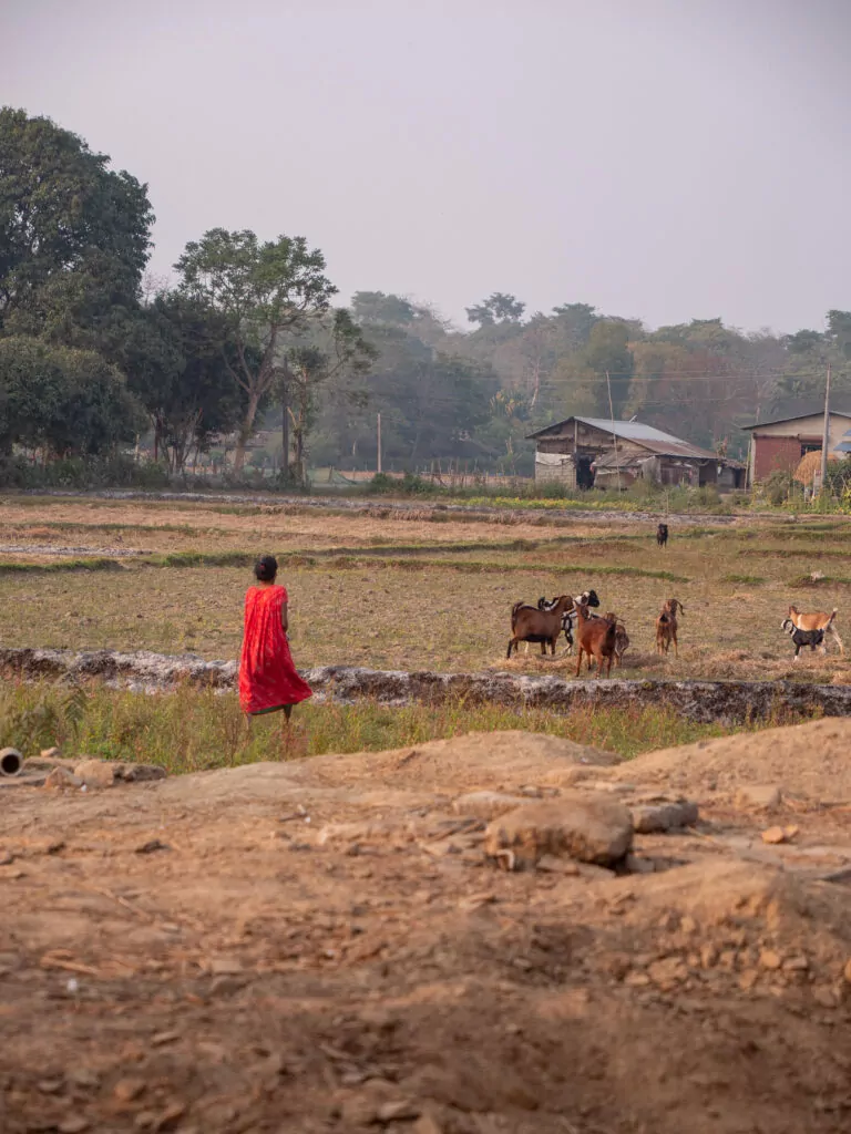 Woman in red walking past farmland and rural houses in a village near Chitwan National Park