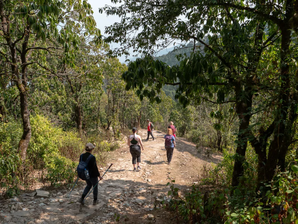 Hikers on a shaded forest trail on the Australian Camp trek near Pokhara