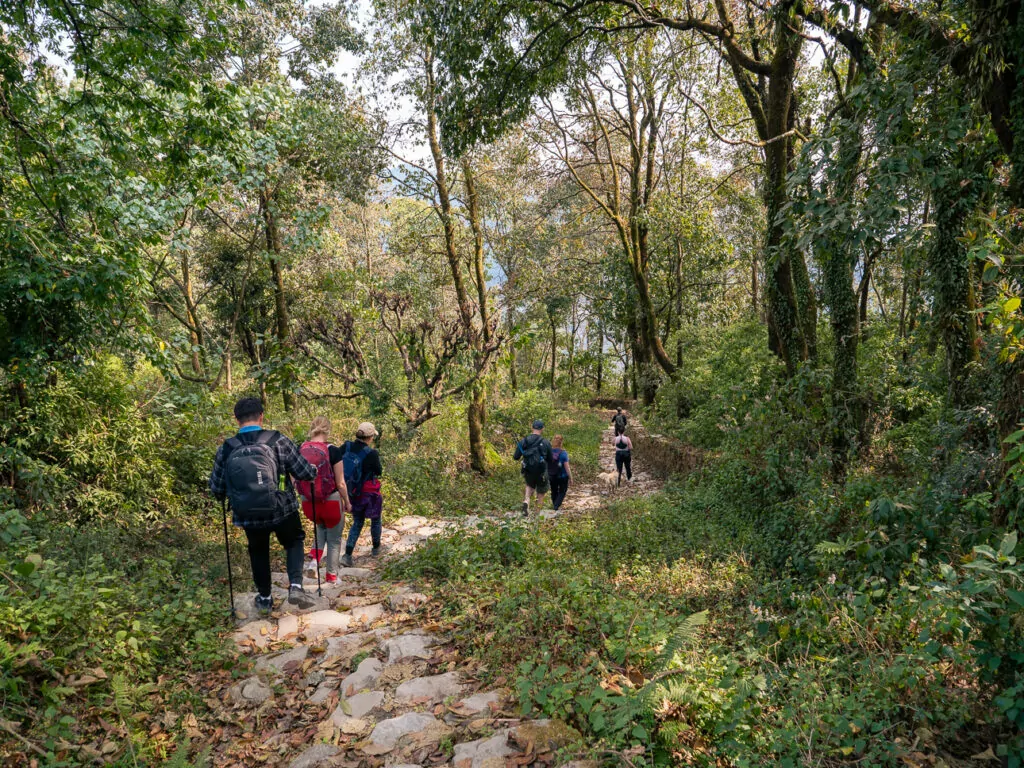 Trekkers walking along a dirt path through the trees near Australian Camp
