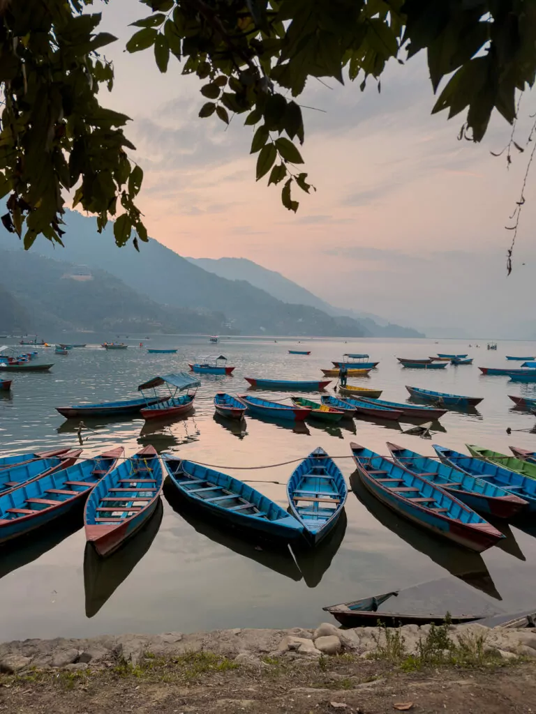 Blue and colourful rowing boats moored on Phewa Lake at sunset in Pokhara