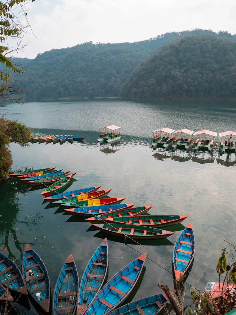 Colourful rowing boats lined up along the shore of Phewa Lake in Pokhara