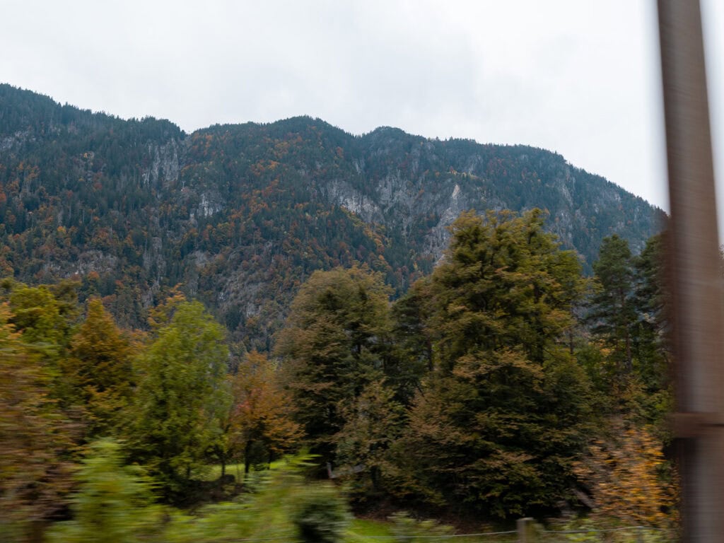 A lush green valley dotted with autumn trees, seen from the Gotthard Panorama Express train window