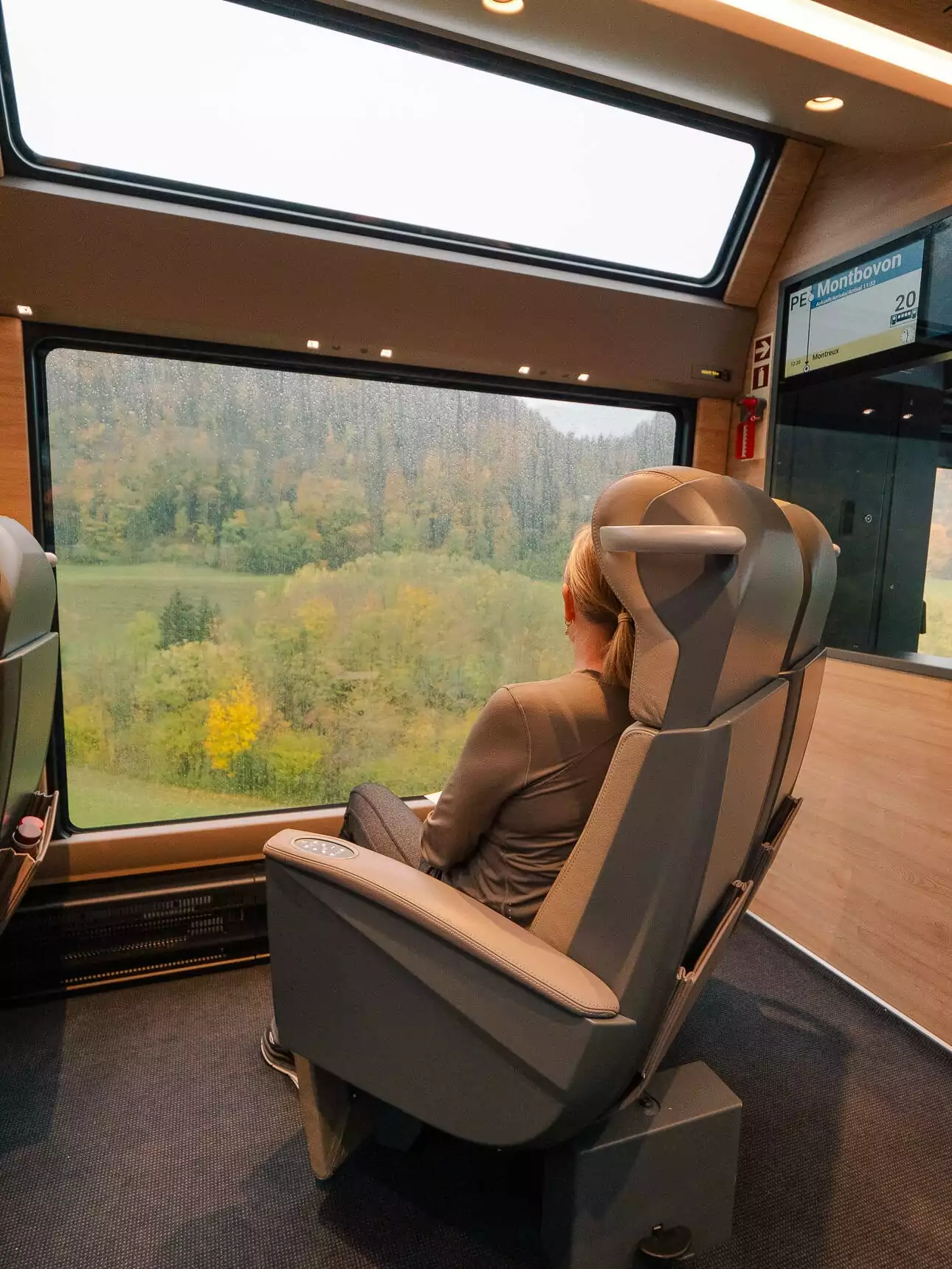 Passenger seated beside the panoramic window on the GoldenPass Express train