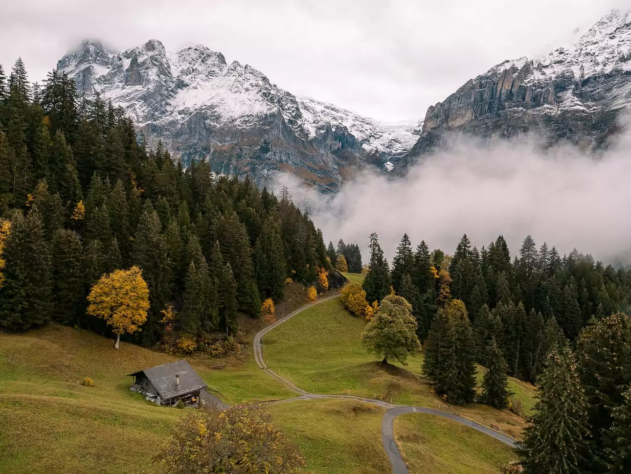 Mountain scenery above Grindelwald First with forest, winding paths and low cloud