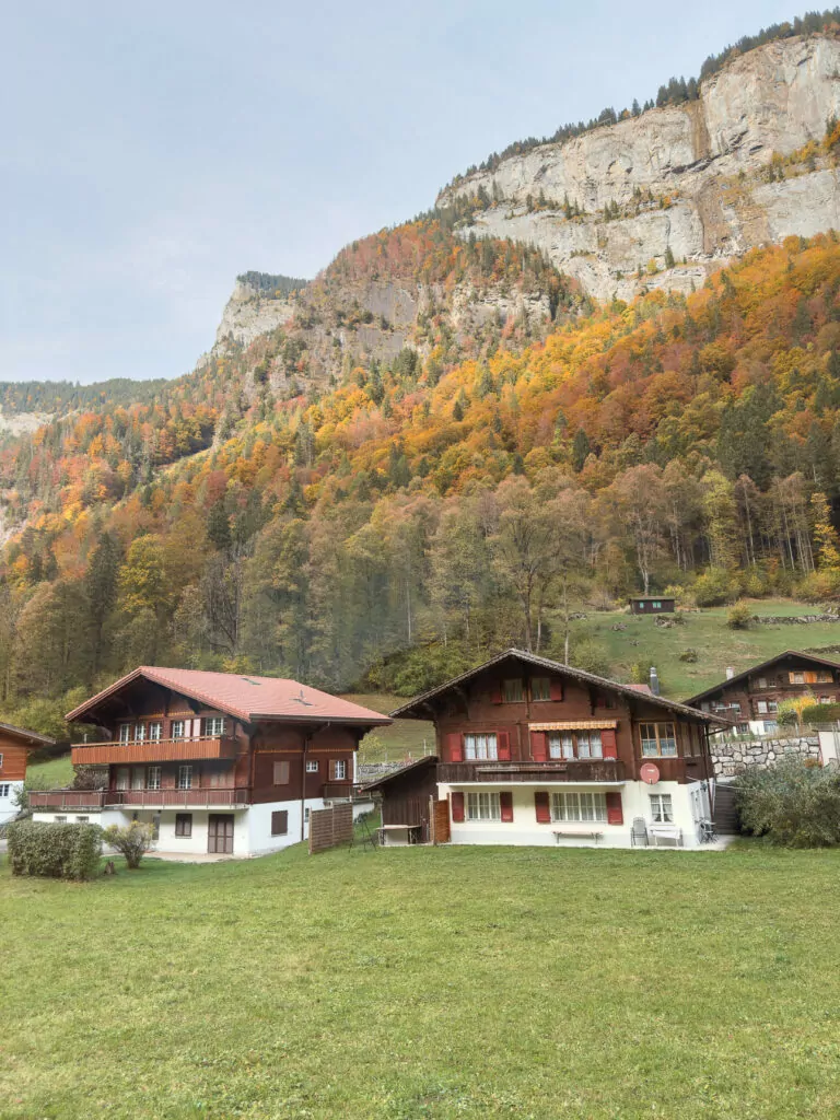 Traditional Swiss houses below autumn forest and cliffs in the Bernese Oberland