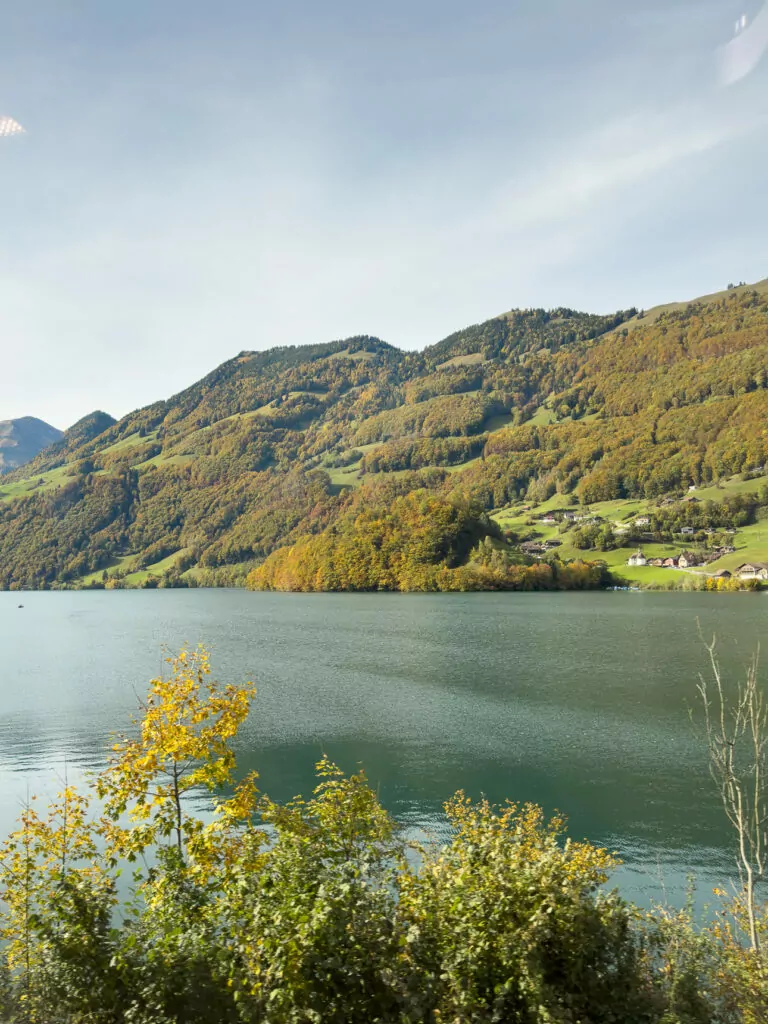 Lake and hillside views from the Luzern Interlaken Express train route