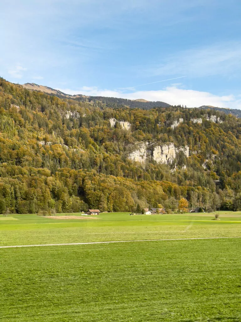 Green fields and forested hills seen from the Luzern Interlaken Express train