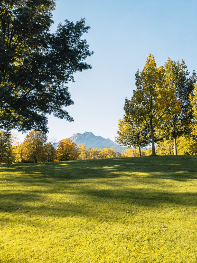 Grassy park with autumn trees and Mount Pilatus in the distance near Ufschötti